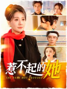 惹不起的她（106集）在线观看完整版