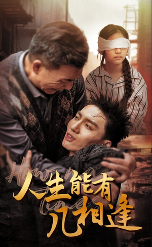 人生能有几相逢（72集）热播短剧分享