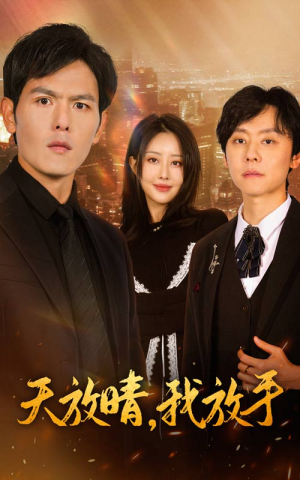 天放晴，我放手（35集）高清无码免费看