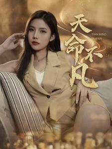 天命不凡（28集）精彩短剧看不停
