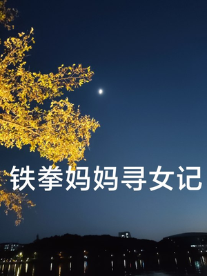 铁拳妈妈寻女记（69集）短剧推荐上热门