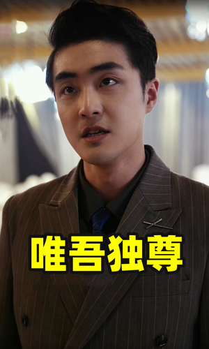 唯吾独尊（96集）好看短剧看不停