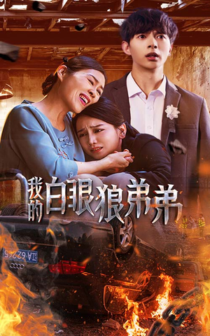 我的白眼狼弟弟（69集）全集我都看完了