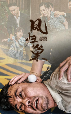 新版：凤归巢（68集）好看又上头短剧