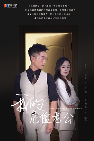 我的危险老公（63集）短剧抢先看全集