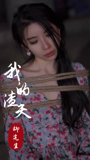 我的渣夫柳先生（80集）免费版