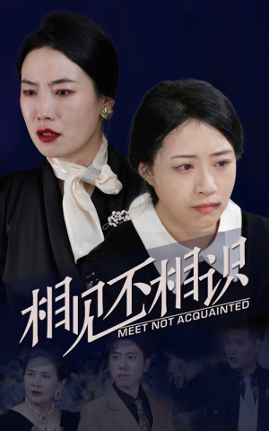 相见不相识（34集）短剧推荐分享