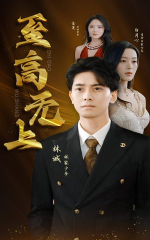 至高无上（30集）精彩短剧天天看