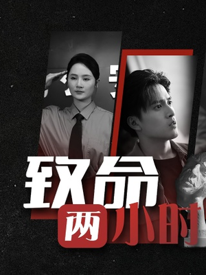 致命两小时（35集）分享好看短剧