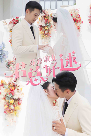 窈窕淑女，君总好逑（85集）最后的大结局
