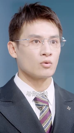 与他同谋（37集）在线免费观看