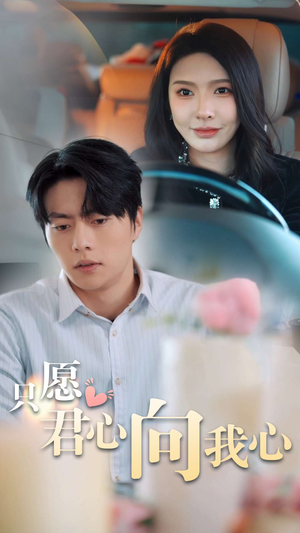 只愿君心向我心（31集）热播短剧排行榜