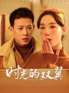 时光的双翼（94集）完整版