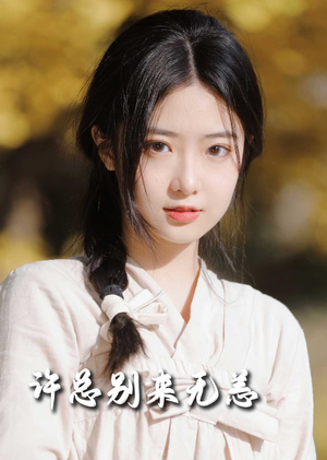 许总别来无恙（50集） 全集免费观看