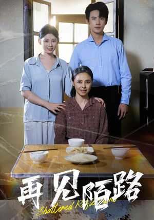 再见陌路（39集） 网盘在线观看