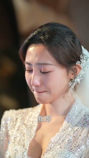 老婆大人下手轻点（30集） 短剧在线更新