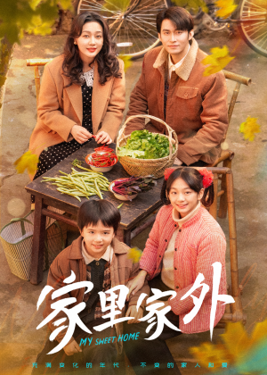 家里家外（79集） 新短剧推荐