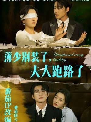 薄少别装了夫人跑路了（60集） 西瓜短剧免费看