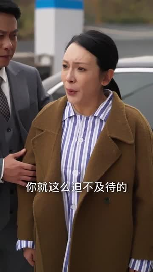 中年离婚后她名动商界（30集） 追短剧太上头了