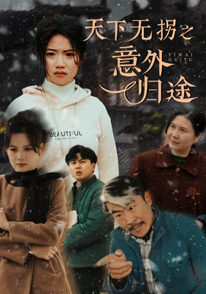 天下无拐之意外归途（61集） 直接看到大结局