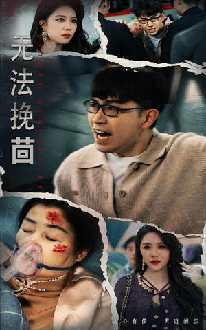 无法挽回（56集） 每日短剧推荐