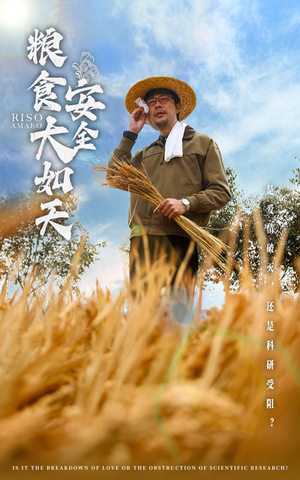 粮食安全大如天（43集） 全季一次看完