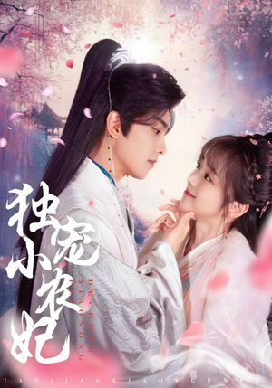 独宠小农妃（63集） 精彩短剧追不停