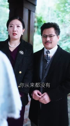 白昼焰火（100集） 短剧全集免费看
