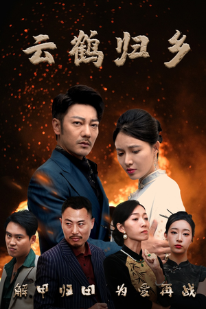 云鹤归乡（65集） 热播短剧分享