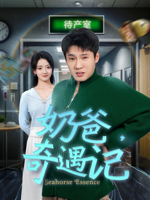 奶爸奇遇记（60集） 80到100集