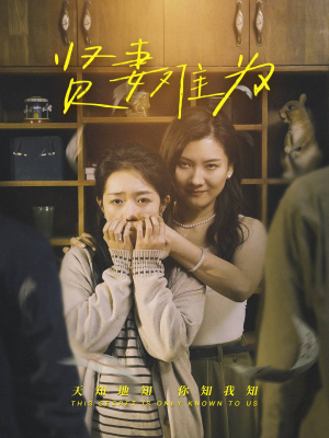 贤妻难为（30集） 在线看