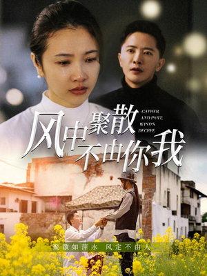 风中聚散不由你我（41集） 免费短剧看不停