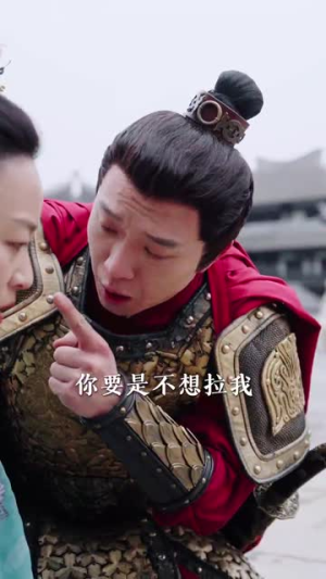 我的姐姐是将军（80集）爱短剧爱追剧