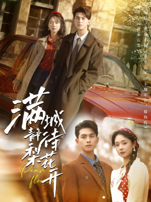 满城静待梨花开（100集）全集免费看短剧