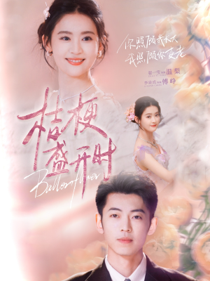她的小桔梗（92集）好看短剧看不停