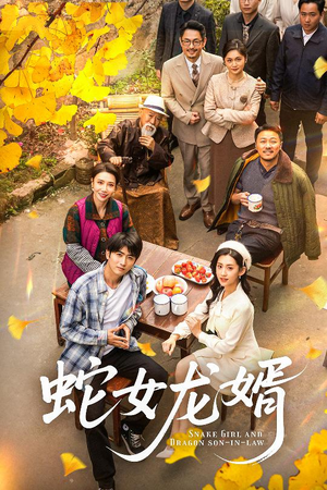 不负韶华不负卿（52集） 一个短剧看全集