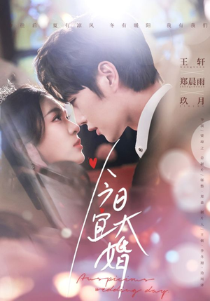 今日宜大婚（59集） 全剧看到大结局