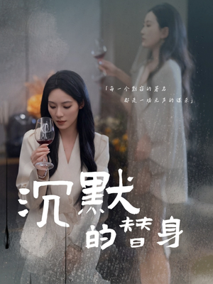 沉默的替身（20集） 看到了大结局