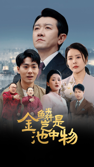 金鳞岂是池中物（61集）一起追短剧