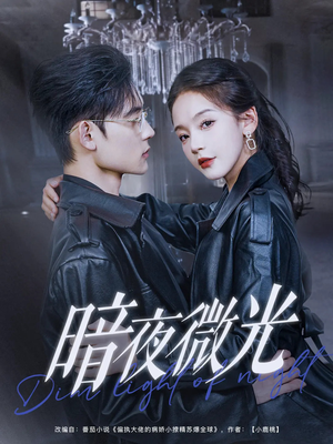 暗夜微光（86集）完整版免费观看
