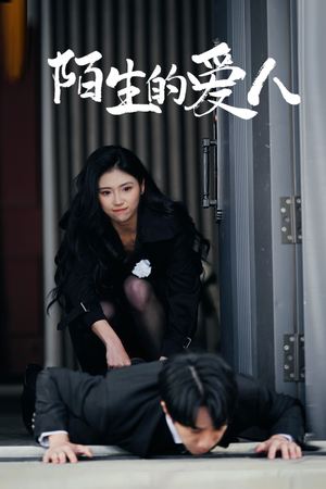 陌生的爱人（60集）短剧免费观看