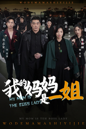 我的妈妈是一姐（62集）海量资源免费看