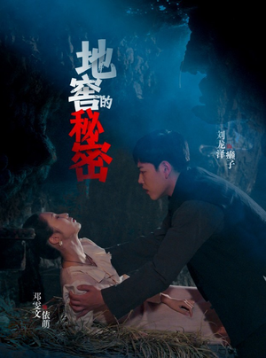 地窖的秘密（40集）流畅播放免费看