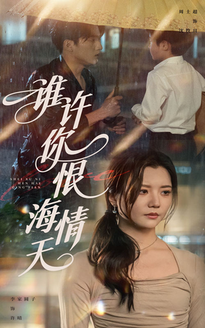 谁许你恨海情天（50集）红果免费短剧