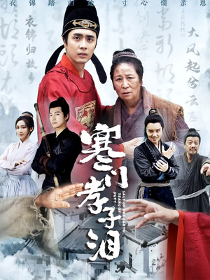 寒门孝子泪（31集）短剧小说在线看