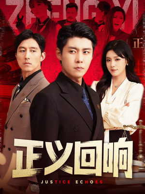 正义回响（98集）精彩连连免费看