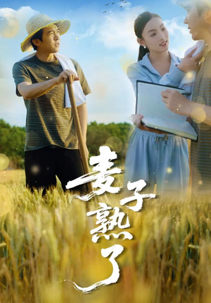 麦子熟了（52集）精彩短剧热播