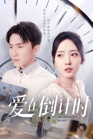 爱在倒计时（30集）高分推荐免费看