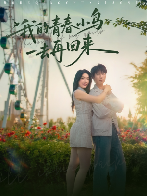我的青春小鸟一去再回来（95集）精彩短剧后续