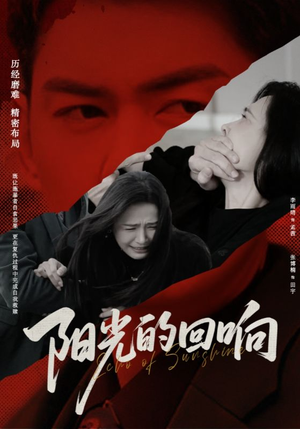 阳光的回响（50集）精彩好看短剧